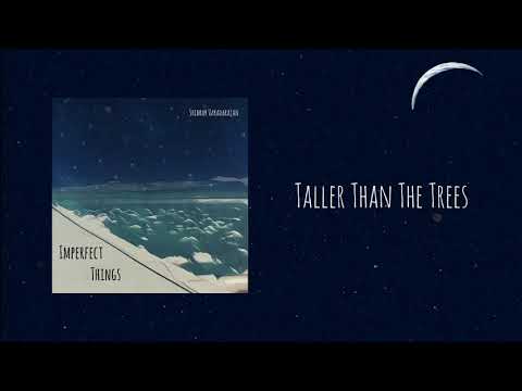 Sridhar Varadarajan - Taller Than The Trees feat. Arjun MPN (Imperfect Things EP)