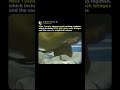 Mike Tyson S INSANE Neck Bridges Build Or Destroy Your Neck Learn From Mike Tyson