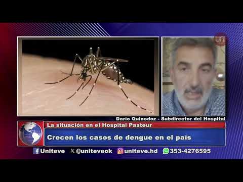 Crecen los casos de dengue en el país