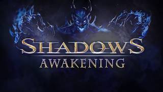 Игра Shadows: Awakening (PS4, русская версия)