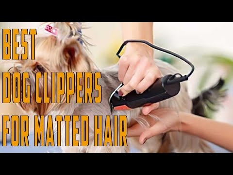 Best Dog Clippers for Matted Hair - 10 Best Dog...