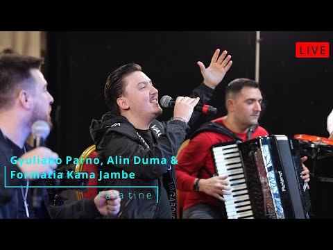 Gyuliano Parno, Alin Duma & Formatia Kana Jambe - Fara tine (Cover ♫ Live Music)