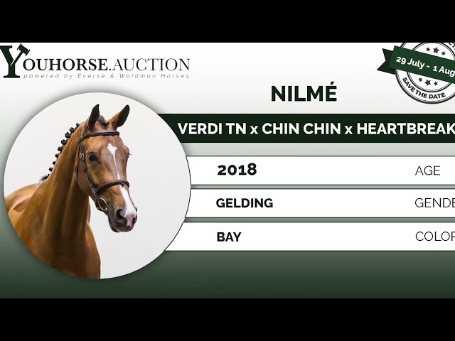 Nilmé try out today