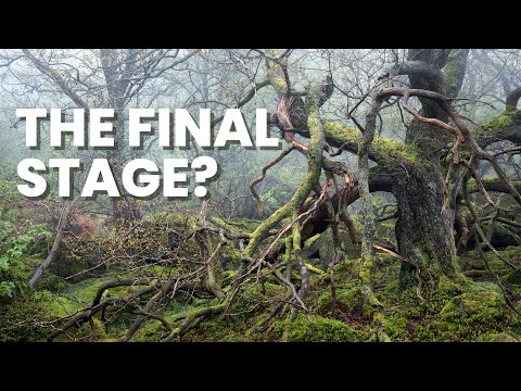 The Final Stage in Photography? (feat. Joe Cornish)