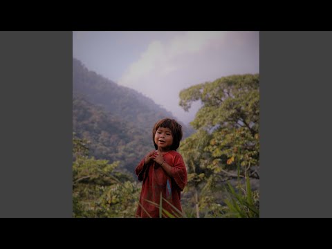 Steady Pimpin' is sein Job