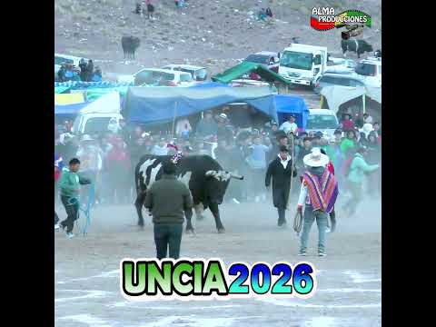 X Toro Tinku Norte Potosino UNCIA 2026 "Chuwi-Cusqueño".  #almaproduccionesbolivia #shortsviral