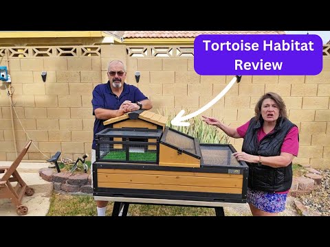 🏡🐢 Luxurious 3-Room Tortoise Habitat Review: Indoor & Outdoor Perfection! 🌿