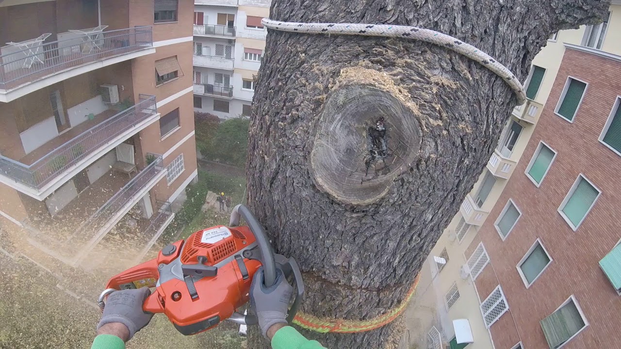 Abbattimento controllato