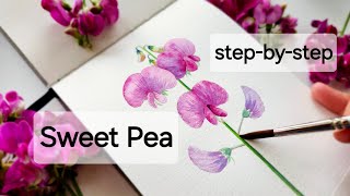 How to Paint Watercolor Flowers | Sweet Peas