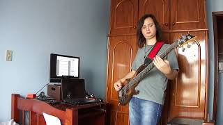 The Beach Boys - Anna Lee, The Healer (bass cover)