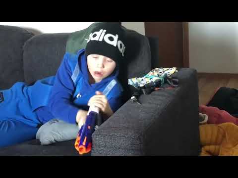 Kissat vs Aksolotli saari sota