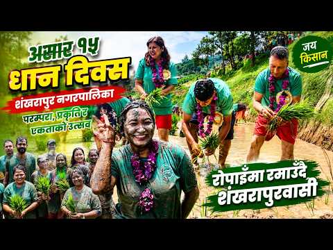 असार १५ मा शंखरापुर नगरपालिकामा मनाईएको धान दिवसको रौनक Shankharapur Asar 15