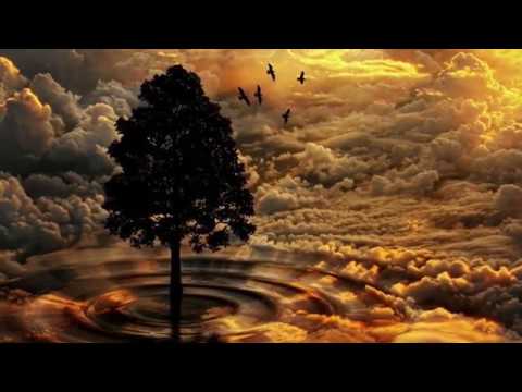 DEINE INNERE STIMME - Von der Selbstwirksamkeit der Seele