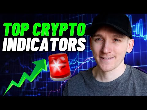 Bitcoin forex trader