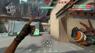 Raze Gümüş-Gold Elo 6K