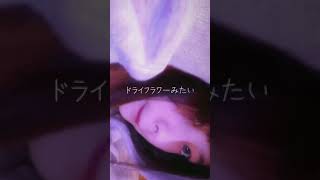 徳川家康(加藤のあ) 歌詞動画　ドライフラワー　TikTok
