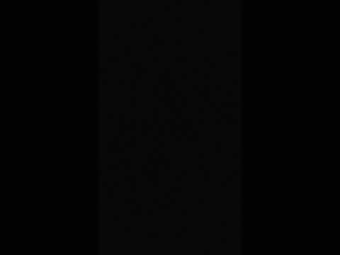 TELA PRETA Vivaldi - Inverno - Movimento II