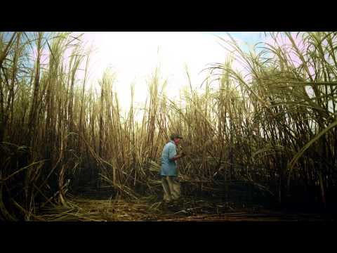 Belikin - DO WORK 60sec