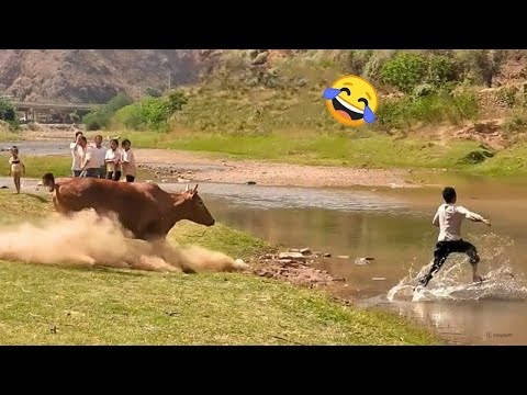 You'll Never Believe It! | Best Funny Fails Compilation | Episode - 173 | ClipBoy