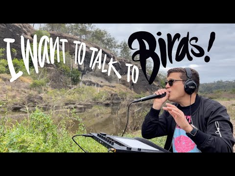 I Want to Talk to Birds- Tom Thum x Ableton Push 3