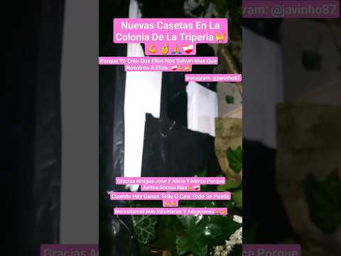 Casetas Nuevas En La Colonia La Triperia,Gracias José Y Alicia Que Seria De Mi Y Ellos Sin Vosotros🫂