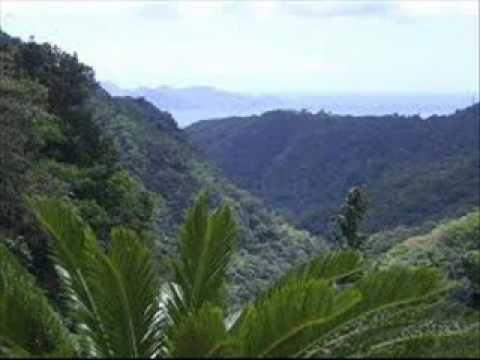 Gaiolas Abertas video