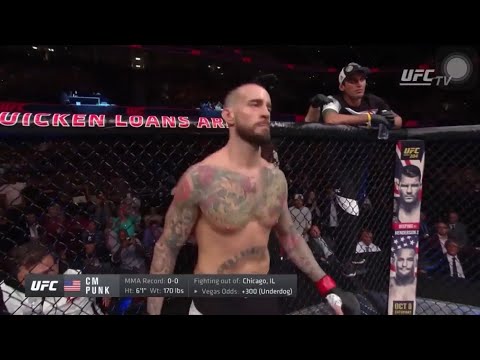 CM Punk vs. Mickey Gall - UFC 203