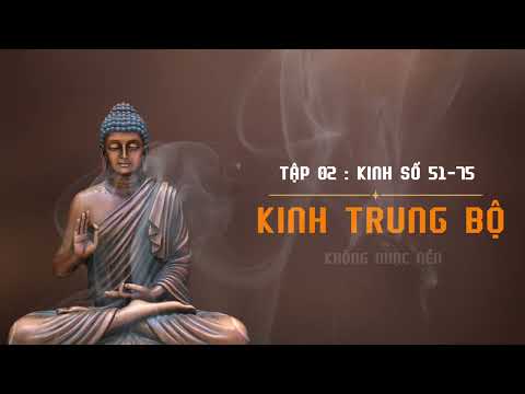 Kinh Trung Bộ Tập 2 | Kinh số 51-75 | HT Thích Minh Châu Dịch