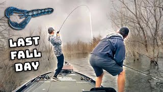 Texas Rig Fall Fishing For Tree Dwelling Bass!