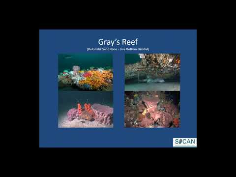 Ocean acidification time-series mooring at Grays Reef National Marine Sanctuary