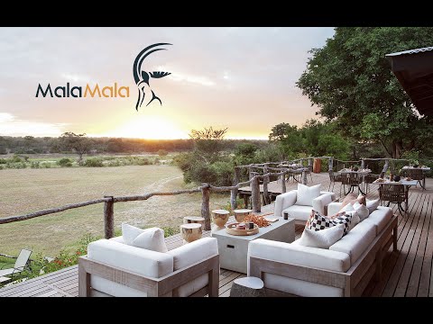 The Magic of Malamala: South Africa's Most Exclusive Safari Experience | Secrets VIP Travel