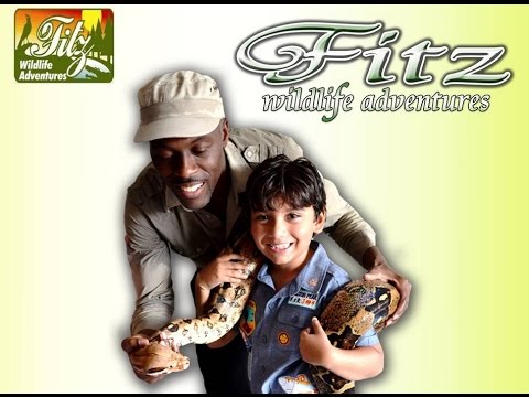 Promotional video thumbnail 1 for Fitz Wildlife Adventures