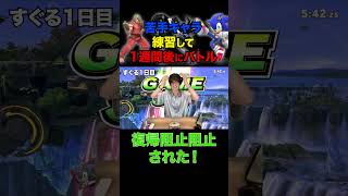 #ブリカワ #ブリとカワウソ #スマブラsp #スマブラ
