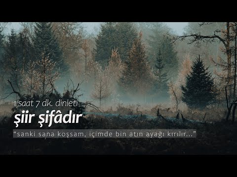 şiir şifâdır | en sevilenler (37 dk. dinleti)