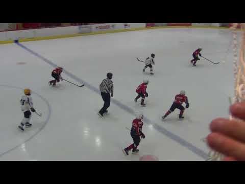 HC Vipers Red U10 - HC Viru Sputnik U10  2:3 (1:1,1:1,0:1)  15.09.17
