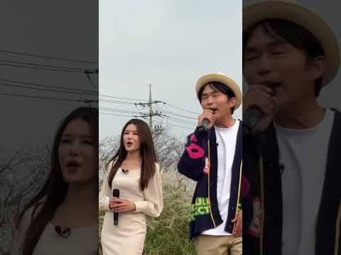 🌾 2024 억새축제 미리보기 🌾