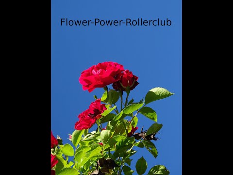 Spaziergang Bad Saulgau   Kloster Sießen