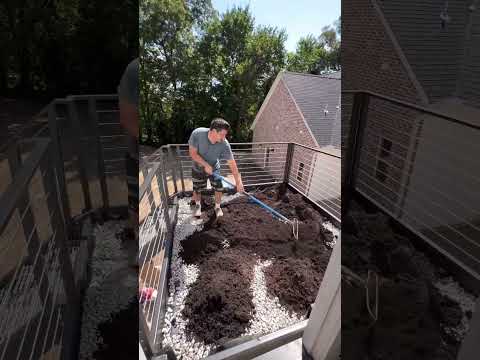 How to Grow Grass on Your Balcony
