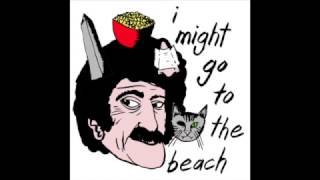 i might go to the beach #126 - victor villarreal (cap’n jazz/ghosts and vodka/owls)