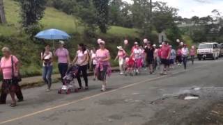 preview picture of video 'Primer caminata Rosa, San Vito de Coto  Brus'