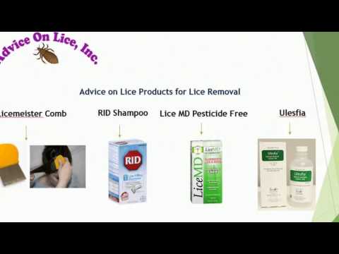 Effective Head Lice Treatment from Advice on Lice