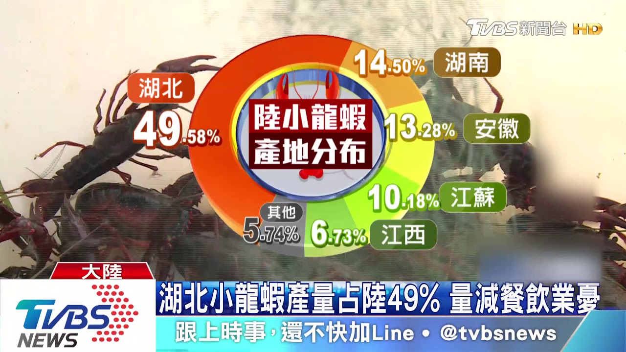 陸小龍蝦最大產區淪重災區　重創產業鏈