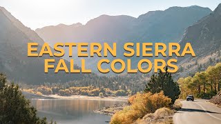 Discovering the Spectacular Fall Colors of the Eastern Sierra!