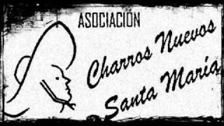 13 El Toro Mambo - Felipe Arpero