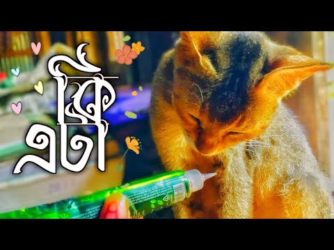 কি এটা 😌😬 | Ke Ata | (mdabdulazimofficial)