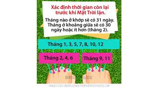 meo hoc tap voi doi ban tay 1512881587