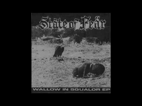 State Of Fear - Violation