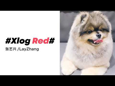 190511 Yixing XLogRed - playing with puppy at SM practice room 张艺兴 LAY