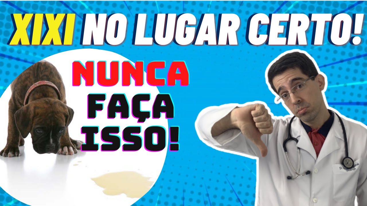 XIXI NO LUGAR CERTO: COMO NÃO ENSINAR O SEU CACHORRO A FAZER AS NECESSIDADES NO LOCAL CERTO!