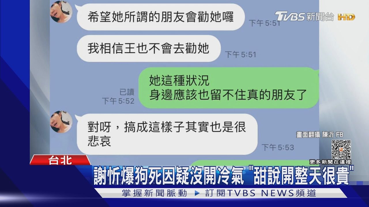 小甜甜為說謊道歉認了狗受傷 再爆謝忻「養死狗」謝忻怒曝事實